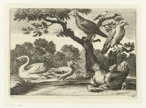 Swan, Hen with Chicks, and Other Birds by Peter van Liesebetten