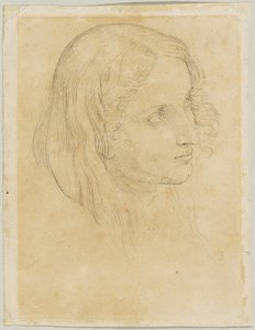 Detail Study of the Scribe in 