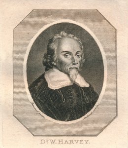 Dr. W. Harvey by Philip Audinet