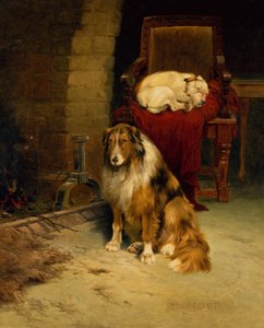 Fireside Companions