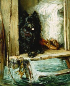 Left in Charge - A Black Pomeranian on the Steps of a Bathing Machine