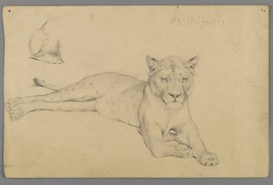 Seated Lioness by Philip H. Wolfrom