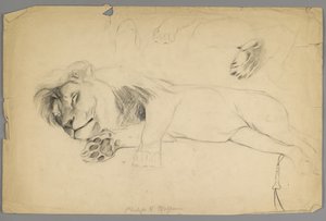 Sleeping Lion by Philip H. Wolfrom