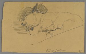 Sleeping Polar Bear by Philip H. Wolfrom