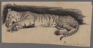 Sleeping Tiger by Philip H. Wolfrom