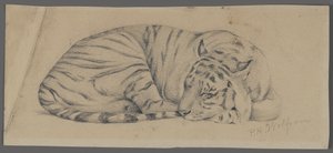 Sleeping Tiger by Philip H. Wolfrom