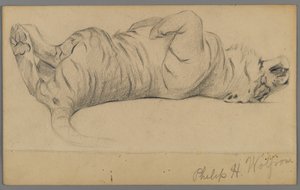 Sleeping tiger by Philip H. Wolfrom