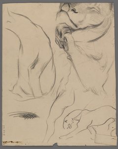 Studies of a Lion