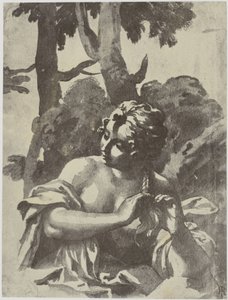A Girl Braiding Her Hair by Philip Henry Delamotte