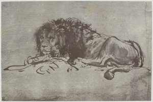Rembrandt, A Lion by Philip Henry Delamotte