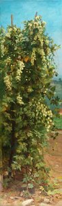 Hops, 1882