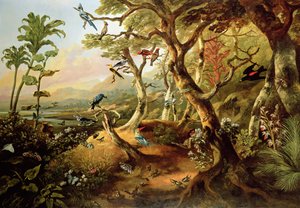 Exotic Birds and Insects Among Trees and Foliage in a Mountainous River Landscape