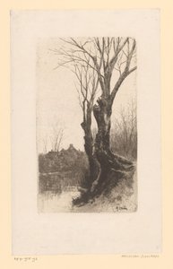 View of the Loolaan, near The Hague
