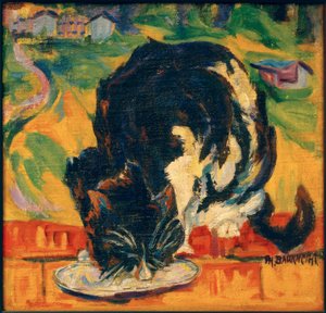 Eating Cat