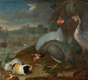 Guinea Fowls with Guinea Pig by Philipp Ferdinand de Hamilton