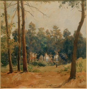 Forest Landscape near Hartmannshofen