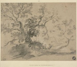 Trees