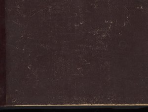 Album with Representations of the Family History of the House of Medici