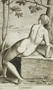 Camerina by Philips Galle