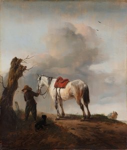 The White Horse. Around 1646 by Philips Wouwerman
