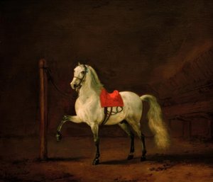 A White Horse in the Stable by Philips Wouwerman