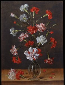 A Bouquet of Carnations in a Glass Vase, c.1600-1700 by Phillipe de Marlier