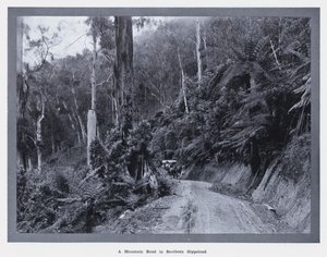 A Mountain Road in Southern Gippsland by Photographer Australian