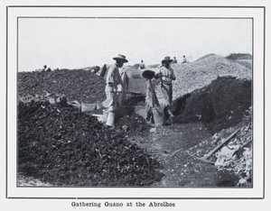 Gathering Guano at the Abrolhos