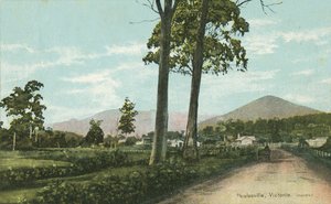 Healesville, Victoria, Australia