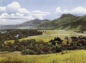 Queensland, Australia: Sugar Lands at Mossman by Photographer Australian