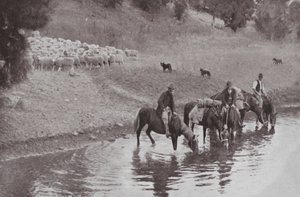 The Rest, Typical Australian Stockmen by Photographer Australian