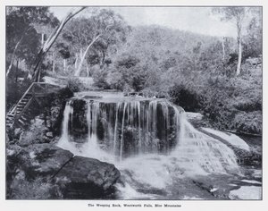 The Weeping Rock, Wentworth Falls, Blue Mountains by Photographer Australian