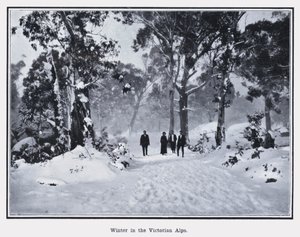 Winter in the Victorian Alps by Photographer Australian