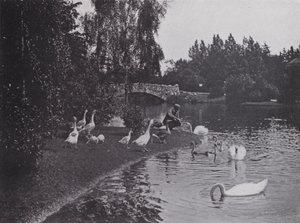 Lake, Beacon Hill Park, Victoria, British Columbia by Photographer Canadian