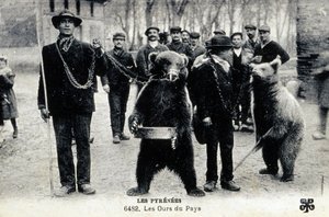 Bear Shows in the Pyrenees, c.1900 by Photographer French