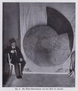 Fossil of a giant ammonite, marine creature of the Jurassic period by Photographer German