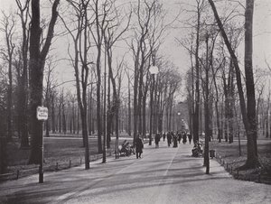 In the Tiergarten, Maple Path