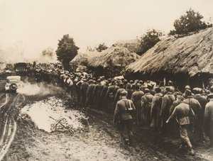 Russian Prisoners near Kiev