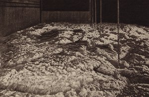 Fermenting Tun, St James