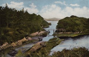 Southern Ireland: Parknasilla, County Kerry