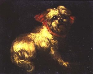 A Maltese Terrier by Pier Francesco Cittadini