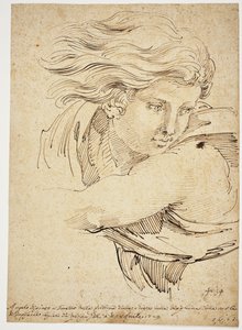 Head of an Angel; after Raphael by Pier Leone Ghezzi