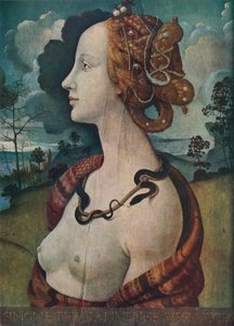 Portrait of Simonetta Vespucci