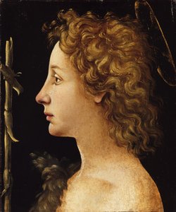 The Young Saint John the Baptist by Piero di Cosimo