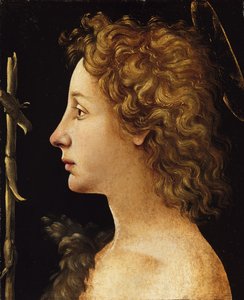 The Young Saint John the Baptist by Piero di Cosimo