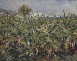 Field of Banana Trees, 1881 by Pierre Auguste Renoir