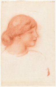 Profile of a Young Woman