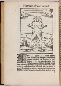 A Collection of Extraordinary Stories, 1560 by Pierre Boaistuau