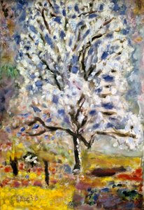 The Almond Tree in Blossom