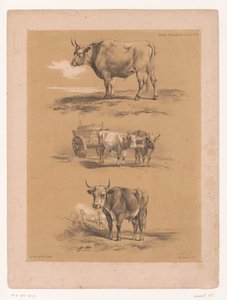 Three Studies of Oxen and Ox Cart